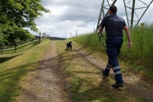 Training 24.05.2020 – Bechlingen 155
